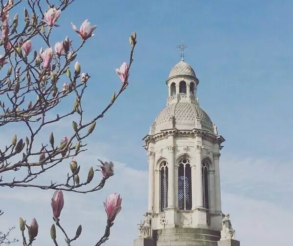 TCD��������̿�˶ʿ����ָ��